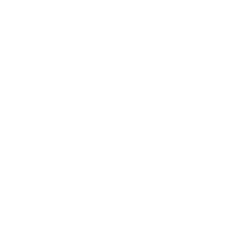 AC_Icon_CGM_1 