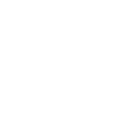 AC_Icon_Roche_health